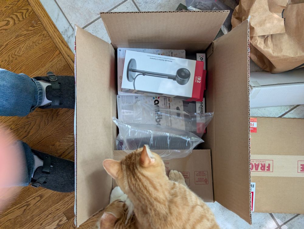 A box filled with game accessories and a Nintendo Switch 2 system, with an orange cat peering into it.