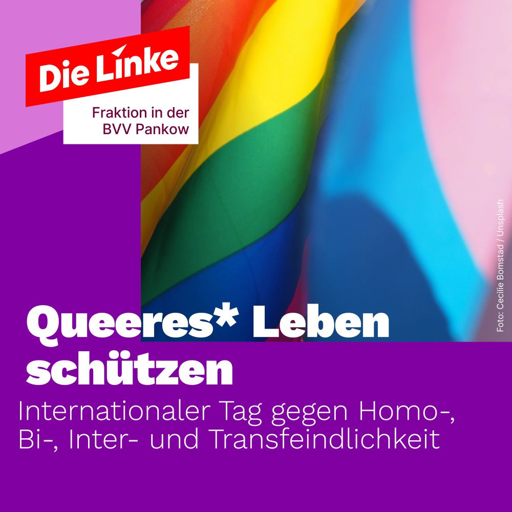 Gezeigt sind eine Regenbogenfahne und eine Trans*pride-Fahne dicht nebeneinander. Dazu der Titel: "Queeres Leben schützen. Internationaler Tag gegen Homo-, Bi-, Inter- und Transfeindlichkeit."