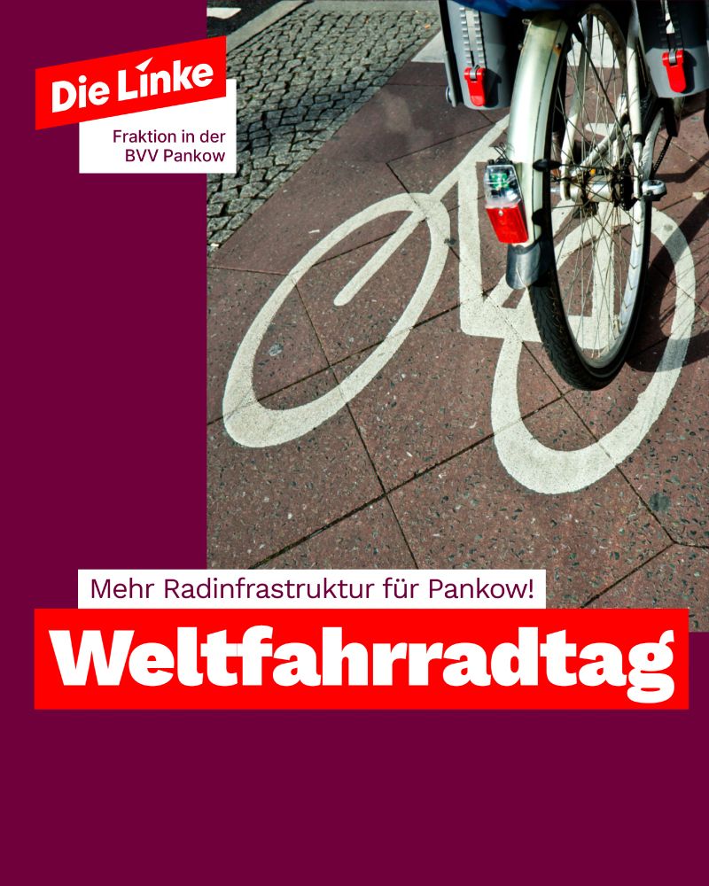 Gezeigt ist ein Radweg und das Hinterrad eines Fahrrads, das auf ihm fährt, ist erkennbar. Dazu der Titel: Mehr Radinfrastruktur in Pankow! Weltfahrradtag