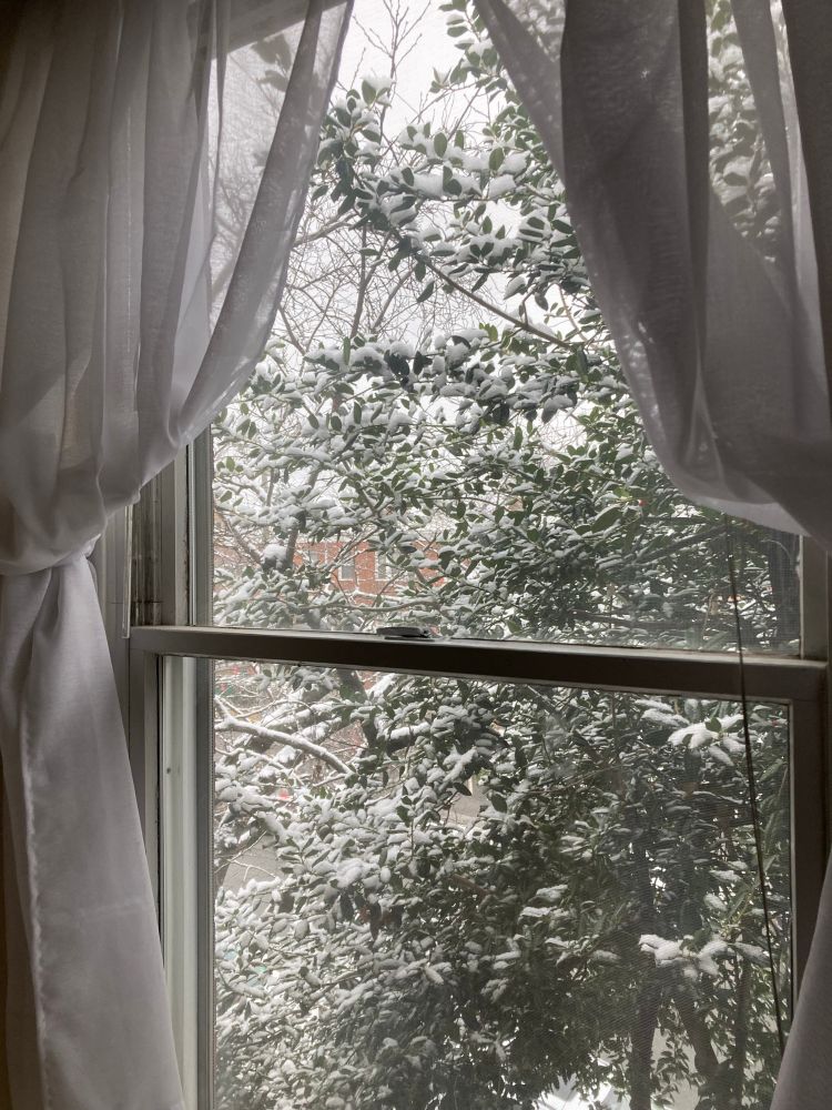 Snow outside window 