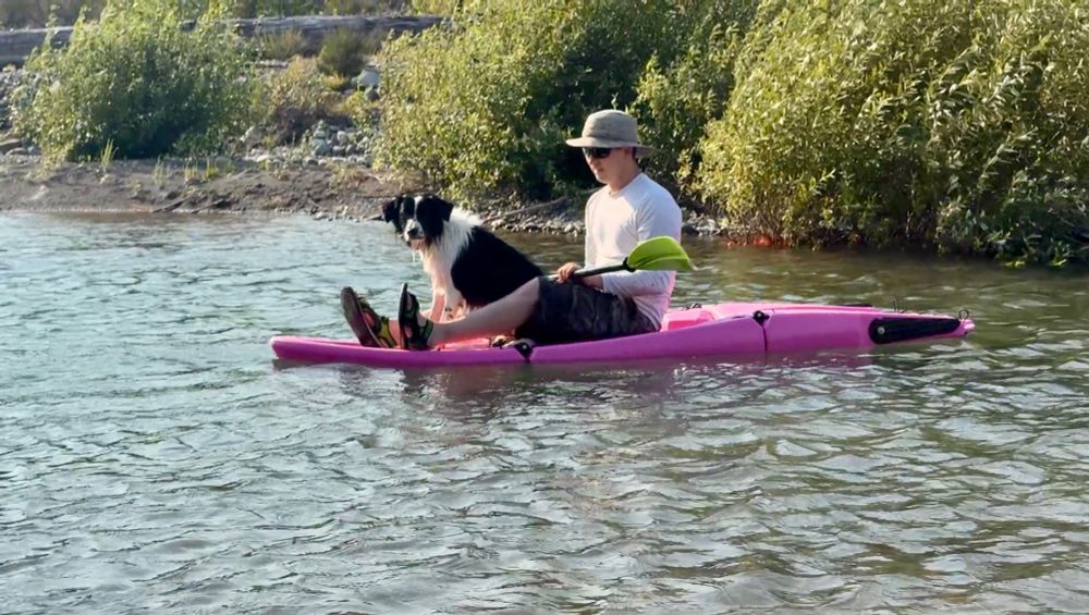 Ransom bordercollie and a pink boat.
