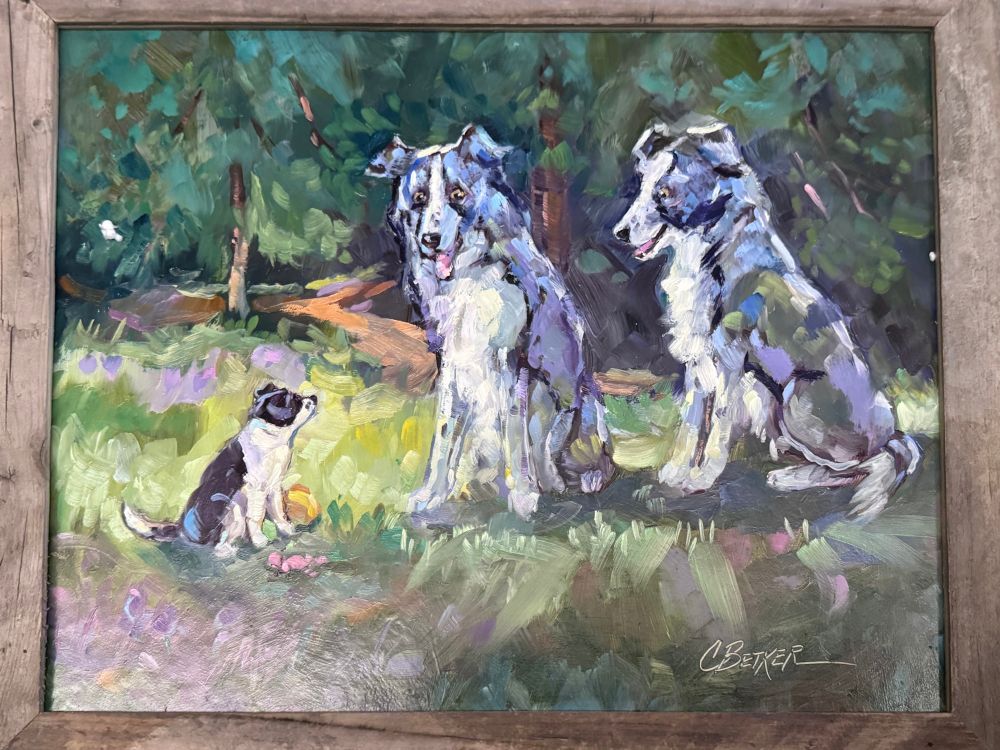 Border collie puppy talking to the spirits of his adopted brothers. 