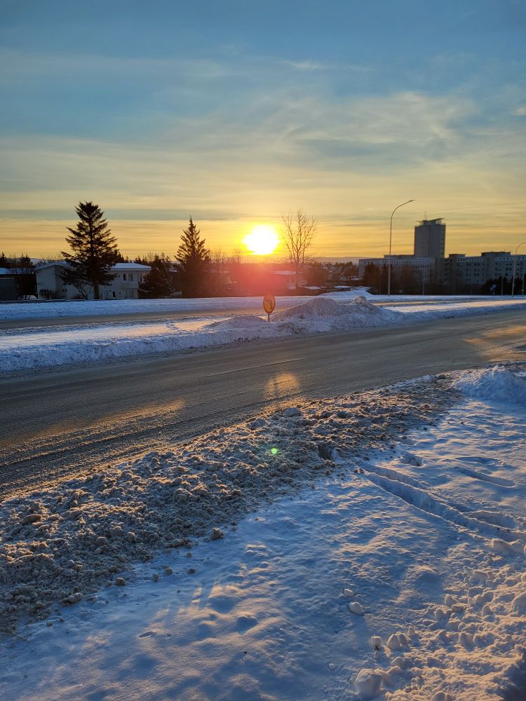 A photo taken of an arctic sun in Iceland. It's barely passing over the horizon. The ground is covered in snow, buildings and trees are visible against the horizon. 