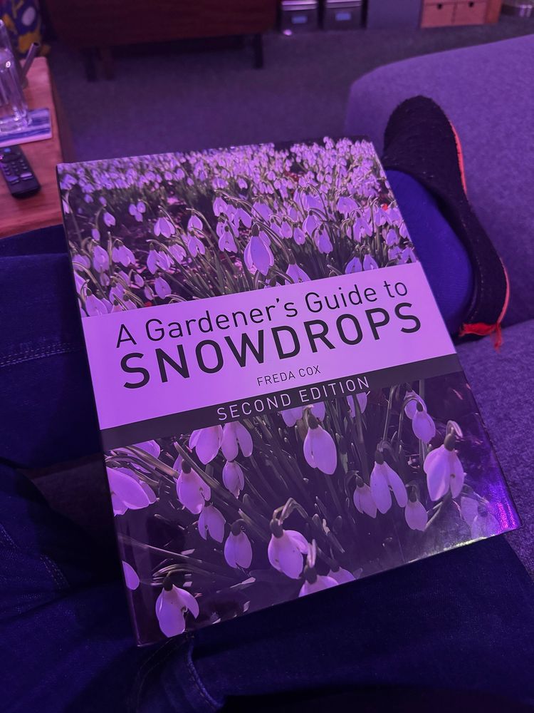 Snowdrop book 