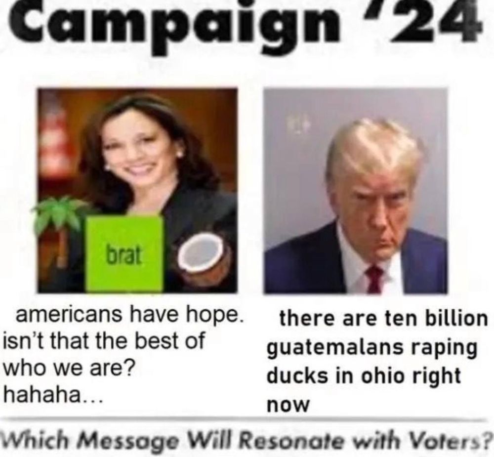 Campaign “24

americans have hope. isn’t that the best of who we are? hahaha... 
there are ten billion guatemalans raping ducks in ohio rightnow
Which Message Will Resonate with Voters?