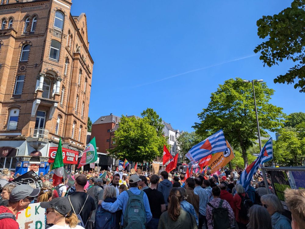 Blick über Demomenge mit diversen Fahnen und Plakaten