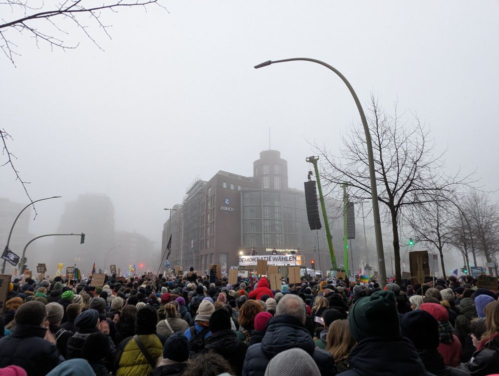 Demomenge in Hamburg.