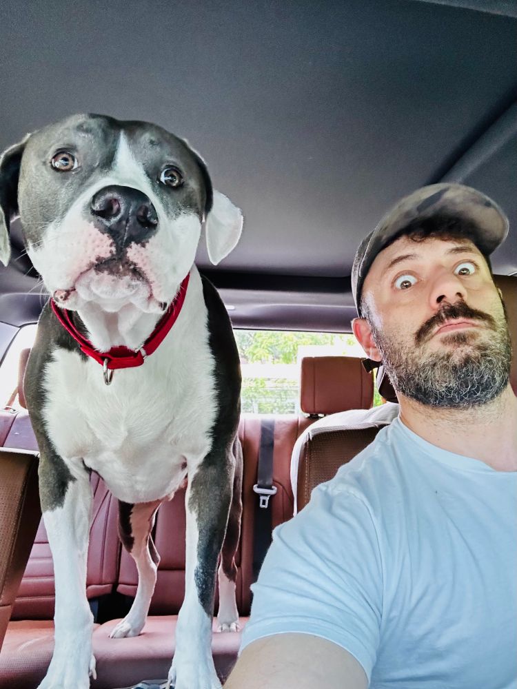 There is a large black and white dog with a red collar and wide eyes and a guy next to him also with wide eyes 