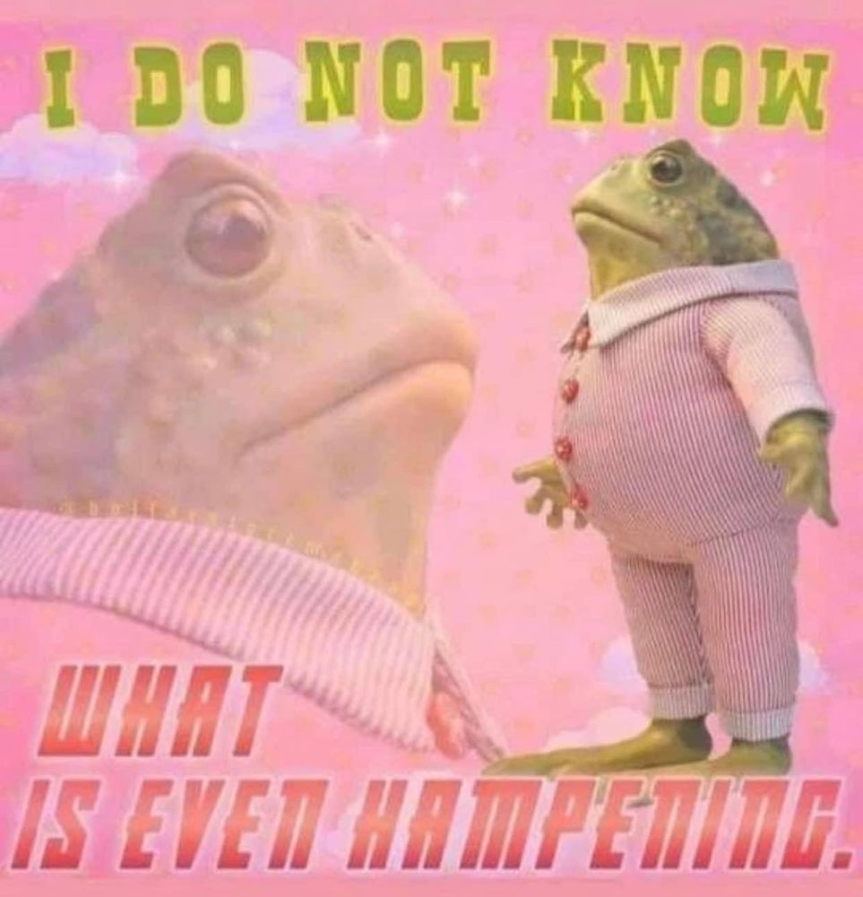 An image of a frog wearing a pink onesie with the text 'I do not know what is even hampening'