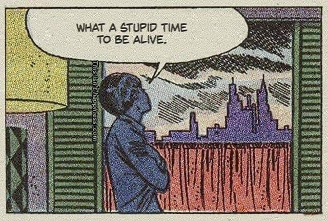A carryon with a person looking at a city skyline saying what a stupid time to be alive 