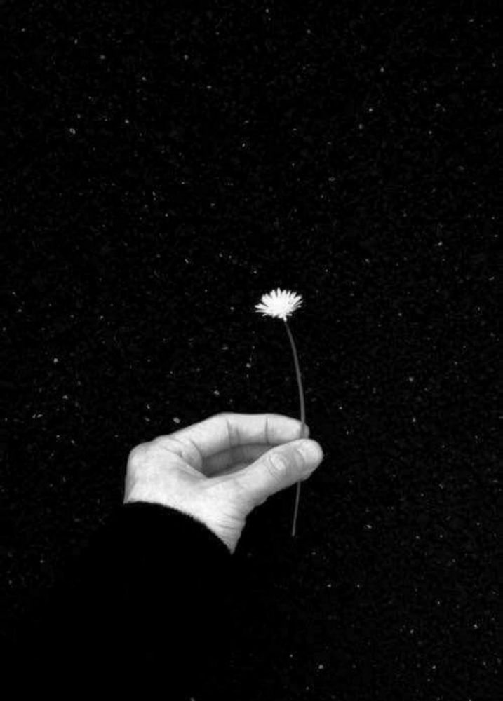 Dedicated to 
@chooten.bsky.social 

- Flowers are the stars of the Earth

#ƒred.ƒorge

Excerpt from : 
"Journal of A Soul In Transit", 
one of my upcoming books