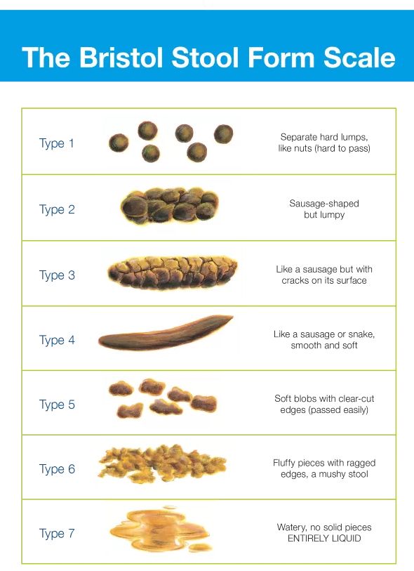 The Bristol Stool Chart that shows 7 types of poop forms