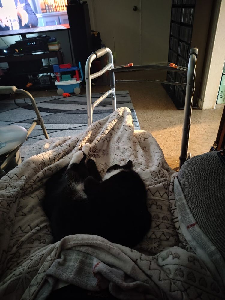 A black and white cat is sleeping on the blanket covered lap of his person.