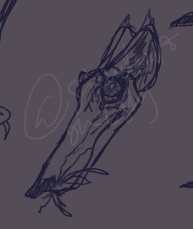 uhhh it's like a really stretched out lycanthrope-y head... like... idk idea?? sketch kinda thing?? idk even I just thought I should try and post more stuff since I have a lot of stuff to post also they have horns and the nose is intentionally supposed to be humanoid-y and stuff.
@simuloart on bsky