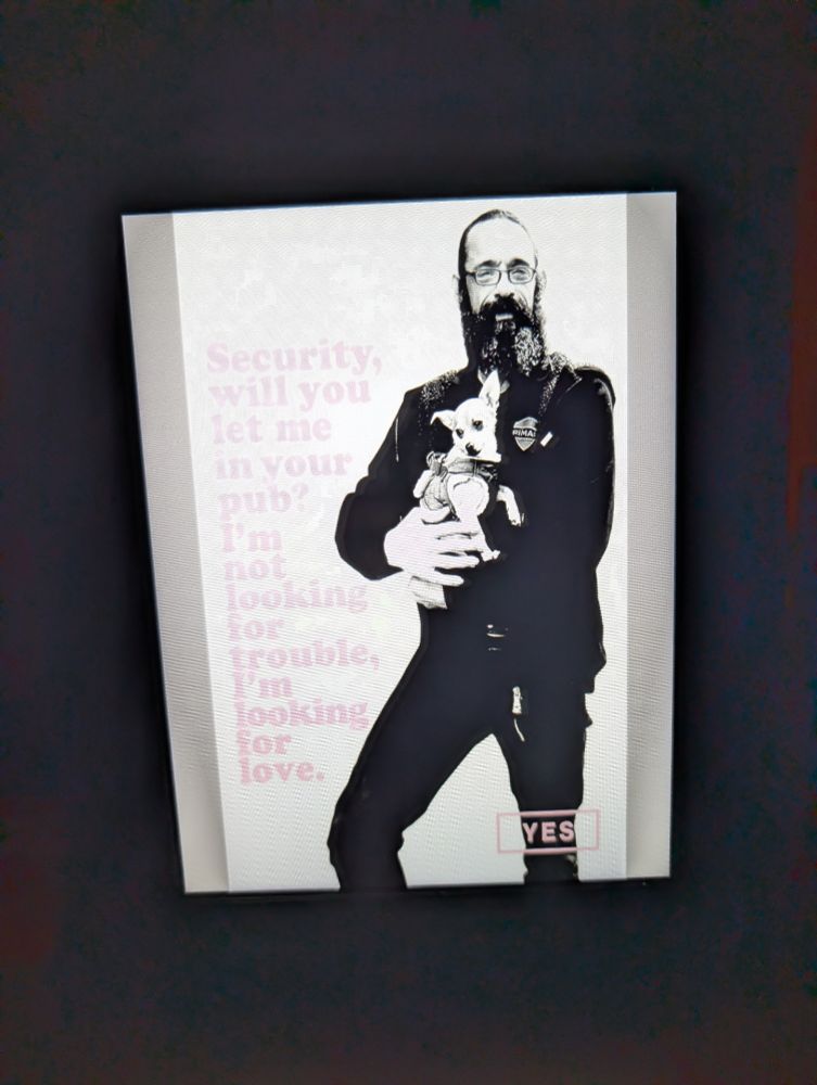 Graphic of a bearded middle-aged hipster holding a tiny dog, next to the opening lyrics to "Security" by Amyl and the Sniffers: "Security, will you let me in your pub? I'm not looking for trouble, I'm looking for love"
