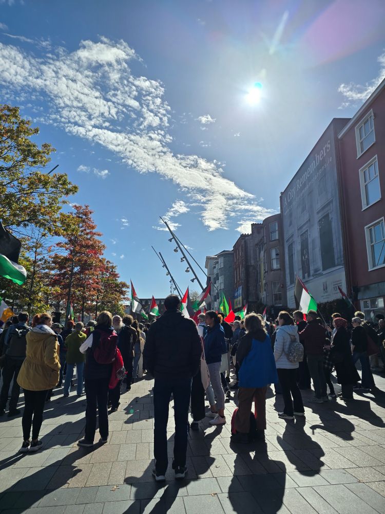 Palestine gathering under blue skies.