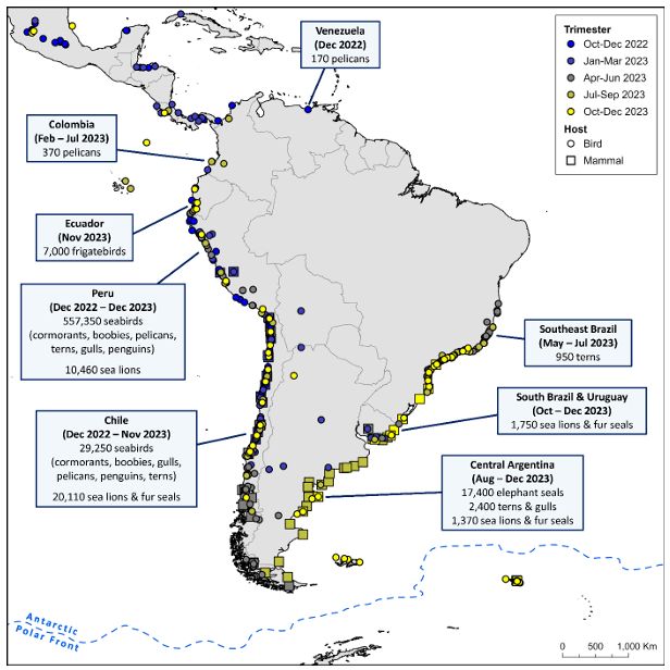  Overall geographical locations of reported incidents of HPAI-H5-associated mortality of wild birds and wild mammals in Central America, South America, and neighbouring islands groups (Galápagos, Falkland/Malvinas, South Georgia/Georgia del Sur) across time between October 2022 and December 2023. Selected major mortality events are indicated in text boxes. For details of mortality reports, see Appendix S1.