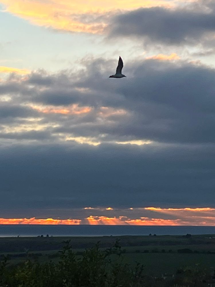 Heavy clouds ( including a seagull!) then dark sky, orange sunset with sun rays onto the sea then the downs.