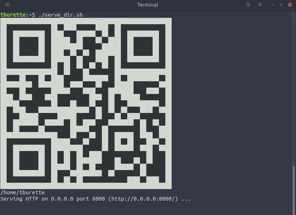 The output of a bash script in the terminal showing a qrcode.