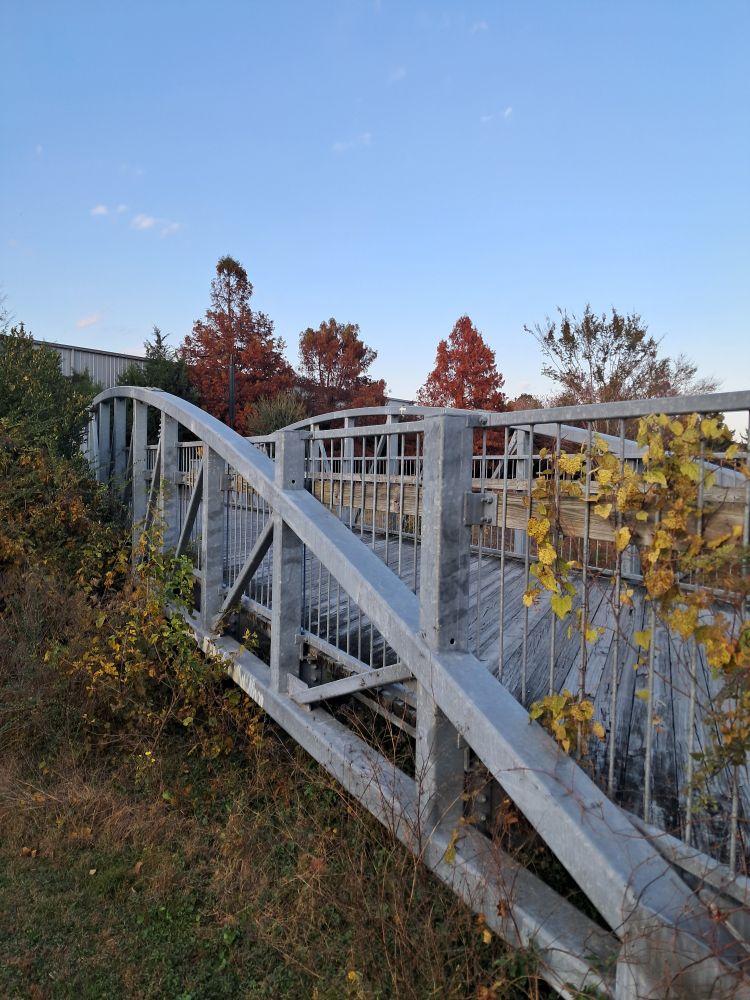 a gray walking bridge surrounded by fall foliage