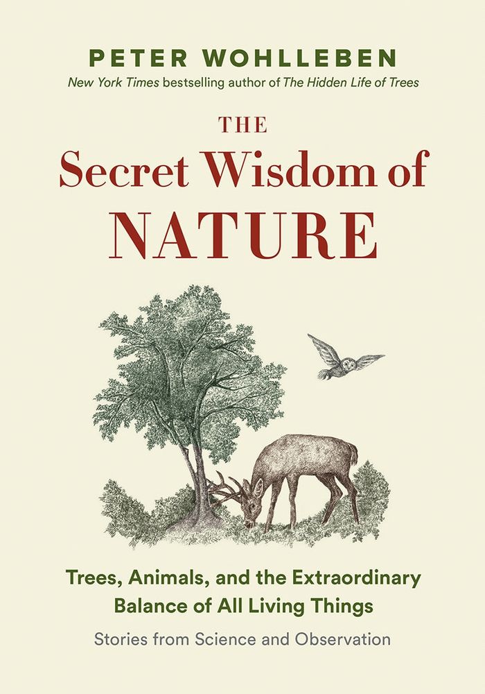 Cover of The Secret Wisdom of Nature by Peter Wohlleben. It depicts an owl flying over a deer who is grazing under a tree. 