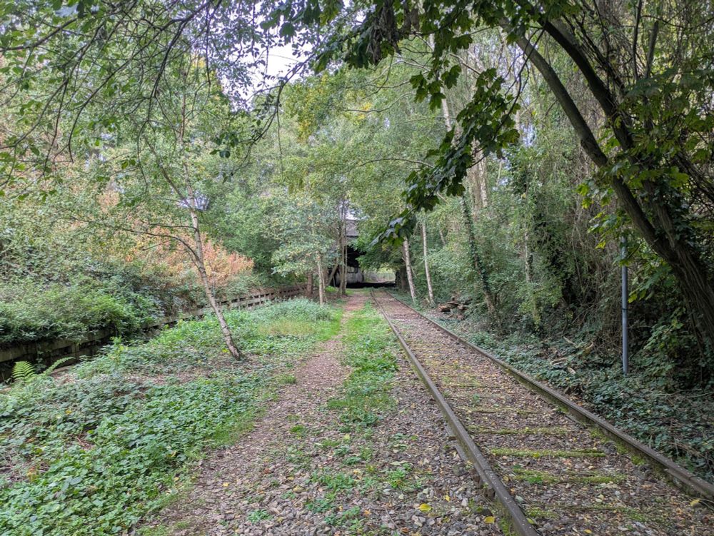 Remains of the South Staffordshire Railway near Brownhills (McClean Way)