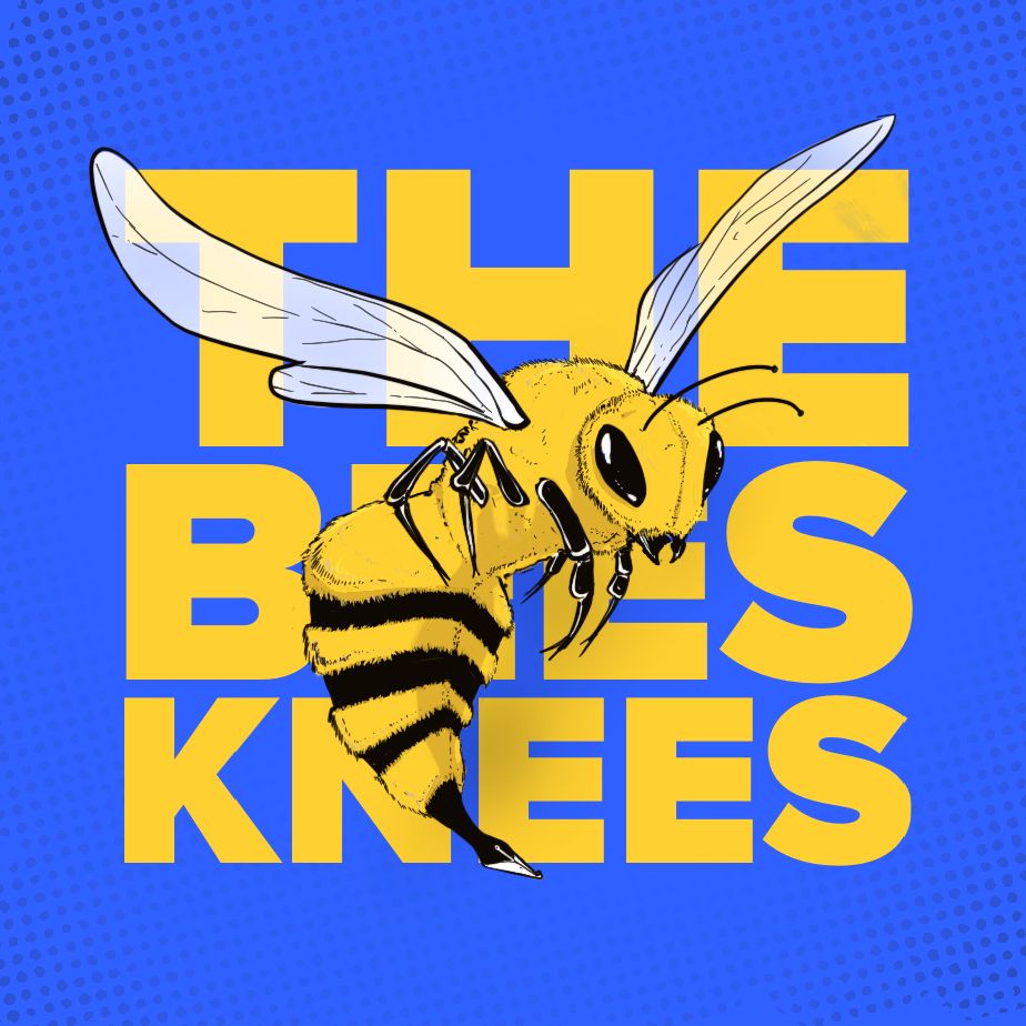The Bee’s Knees. An illustration of a bee with a calligraphy pen nib as its stinger.