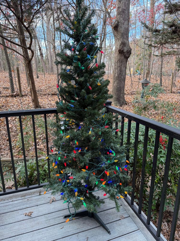 Small Christmas tree with multicolored lights