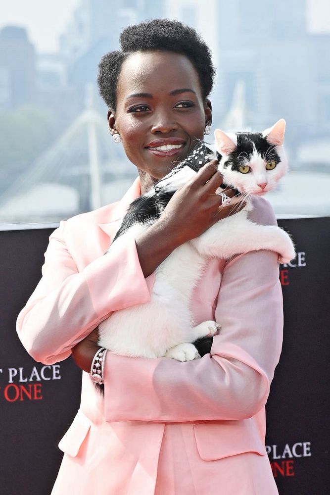 Lupita Nyongo holding perfect angel tuxedo kitty Frodo