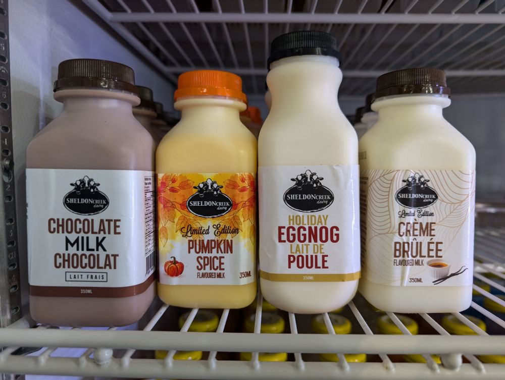 A fridge showing a selection of dairy products, pumpkin spice and holiday eggnog drink are in the middle.