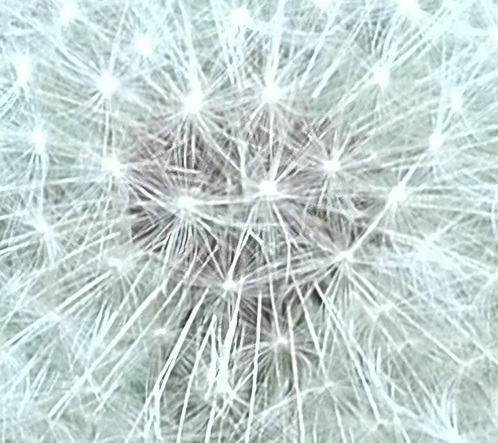 Viele kleine leuchtende Punkte und leuchtende Streifen. In der Mitte eine dunkle Fläche im Hintergrund. 