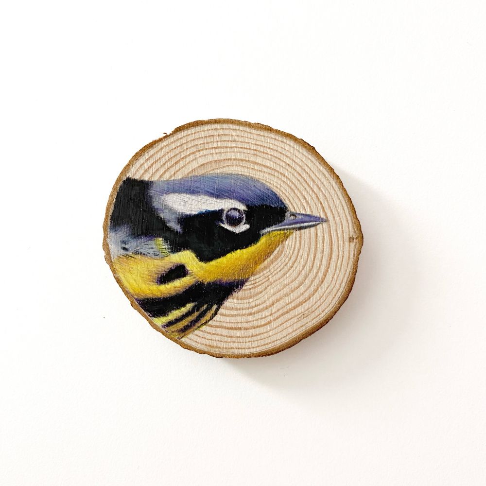 A magnolia warbler hand drawn onto a small wooden slice