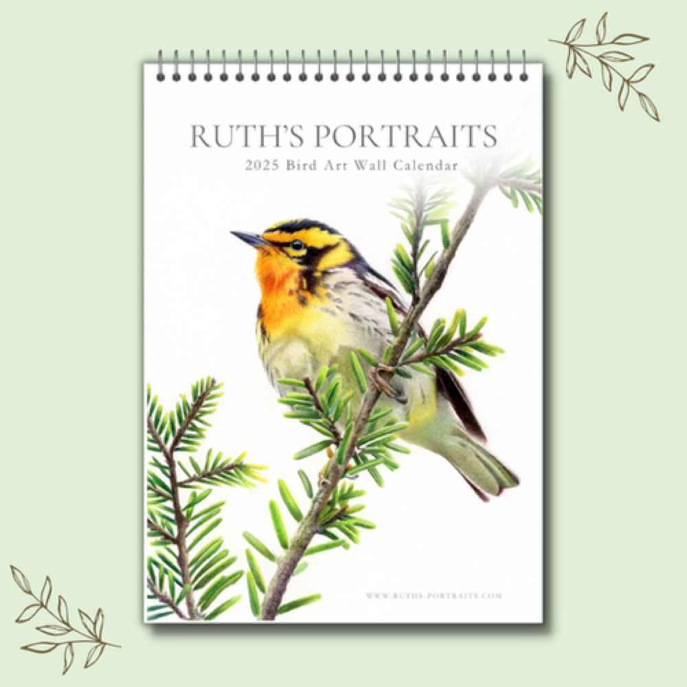 2025 Bird Art Wall Calendar (Pre-Order) | Ruth's Portraits