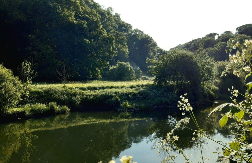 Morning sunshine photo of river teifi in Cilgerran 