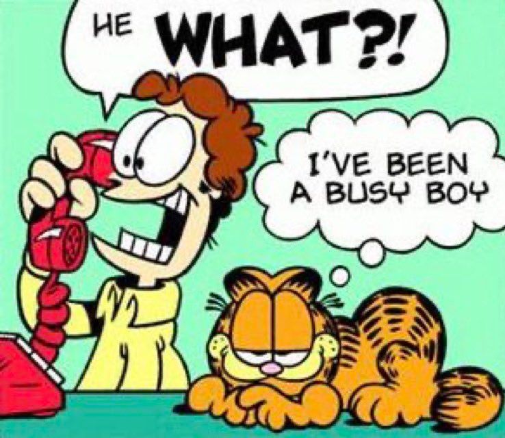 the garfield "he did WHAT" comic, famously posted september 10th 2001, perhaps implying this cat was involved with both epstein and 9/11