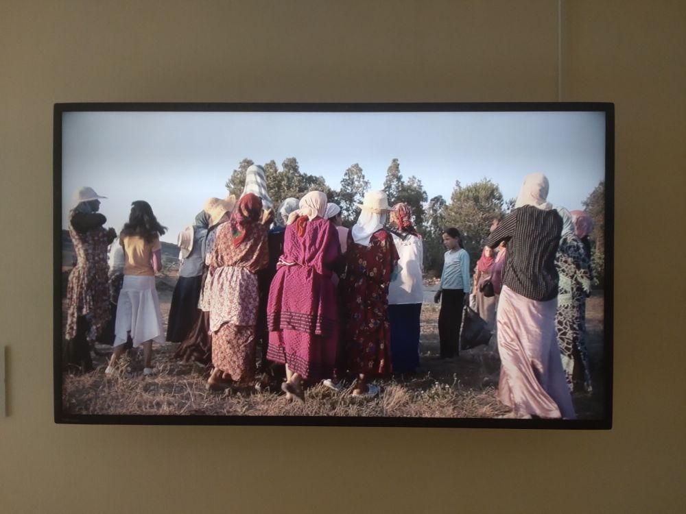 セルマ＆ソフィアン•ウィスィの映像作品