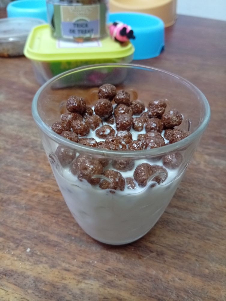 Cereal (Milo) in a glass of milk