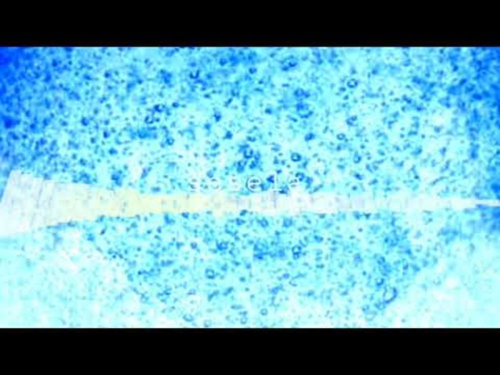 【オリジナル曲】sesela