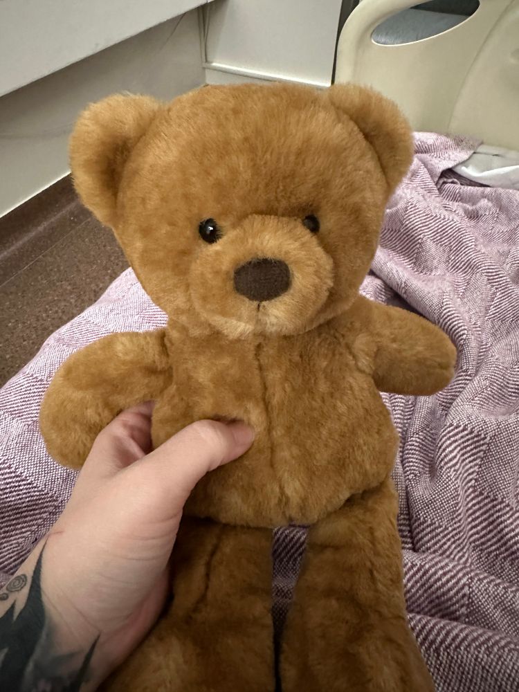 A classic brown teddy bear 