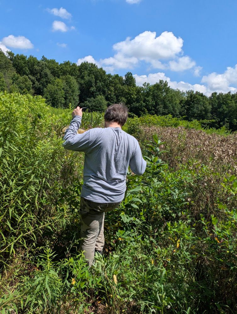 A very handsome man (trust me) facing away from the camera as he navigates a large field that has grown wild.