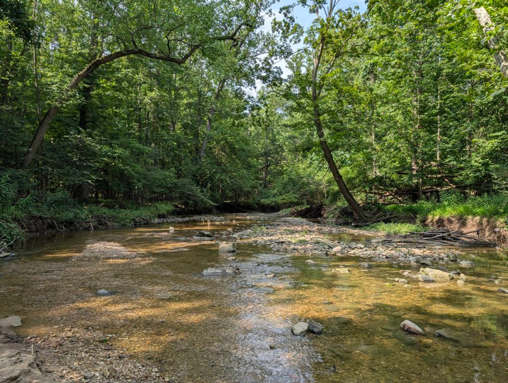 A gorgeous river.