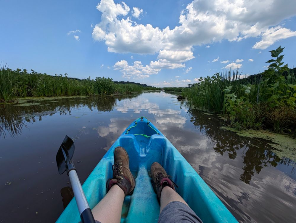 Feeling tranquil while kayaking in a marsh