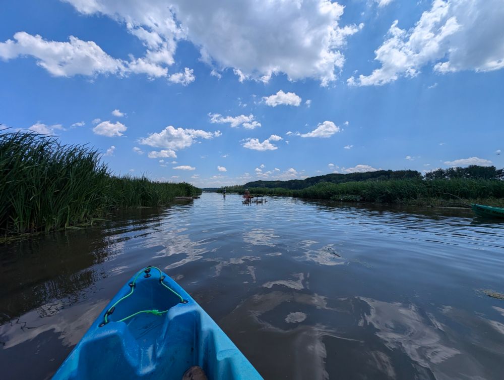 Kayaking in a marsh