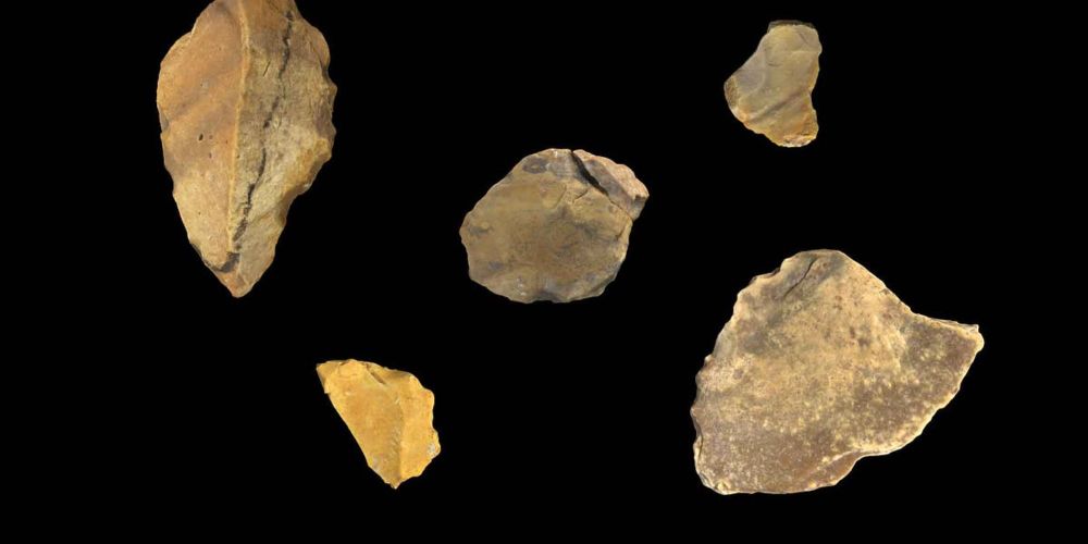 New report of stone artifacts from Calio place human relatives in Wallacea more broadly and earlier than anyone knew.