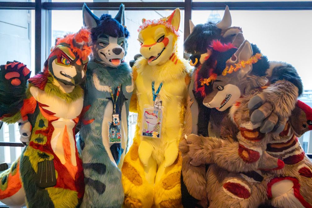 Salmon, hyena shark, lemon shark, bull, and leopard shark fursuiters, comprising a menagerie of delicious surf n turf