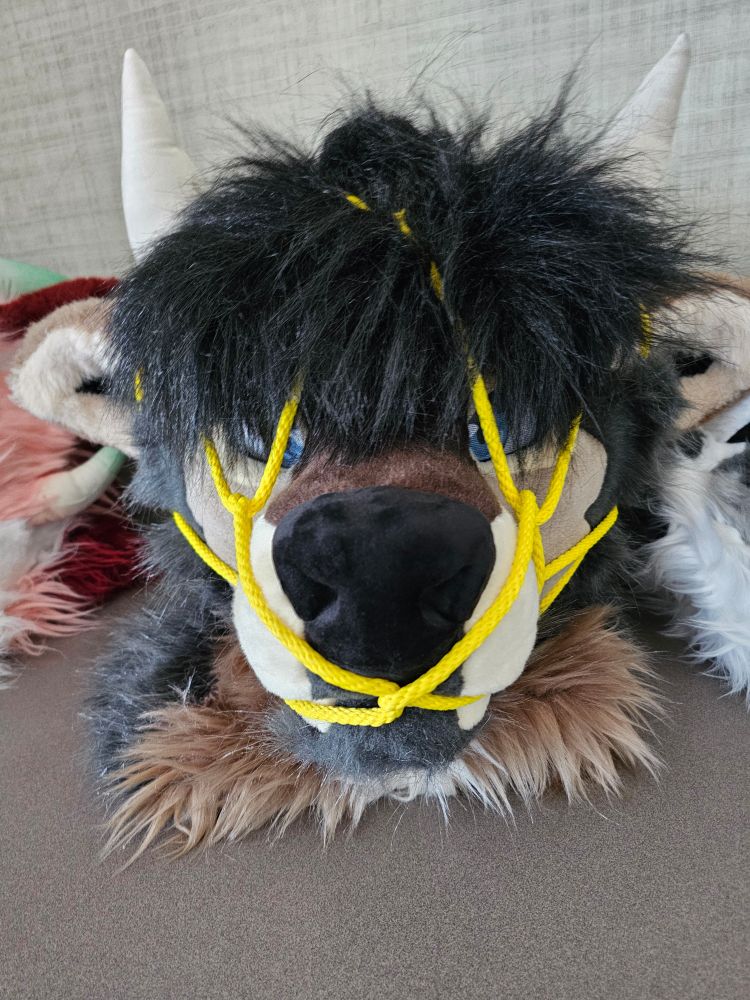 Bull fursuit head bound with yellow rope