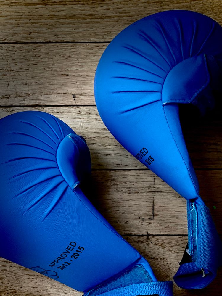 Martial arts fist guards 