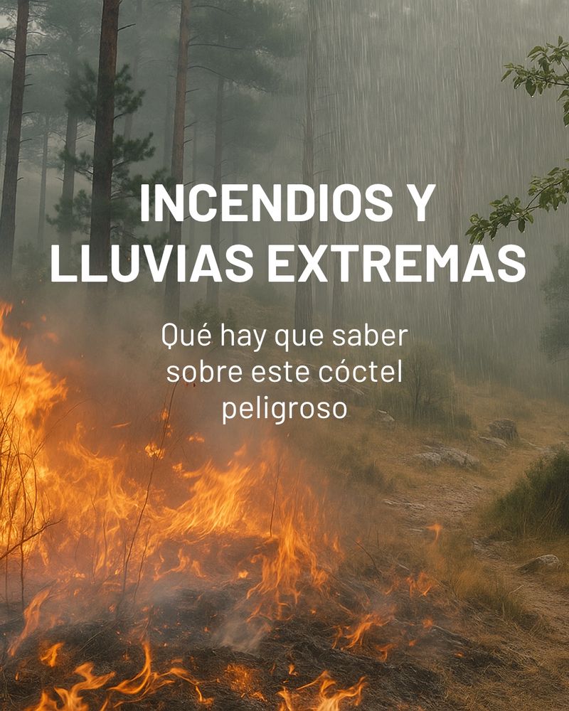 Incendios i lluvias torrenciales. ¿Qué hay que sabes sobre este cóctel peligroso?