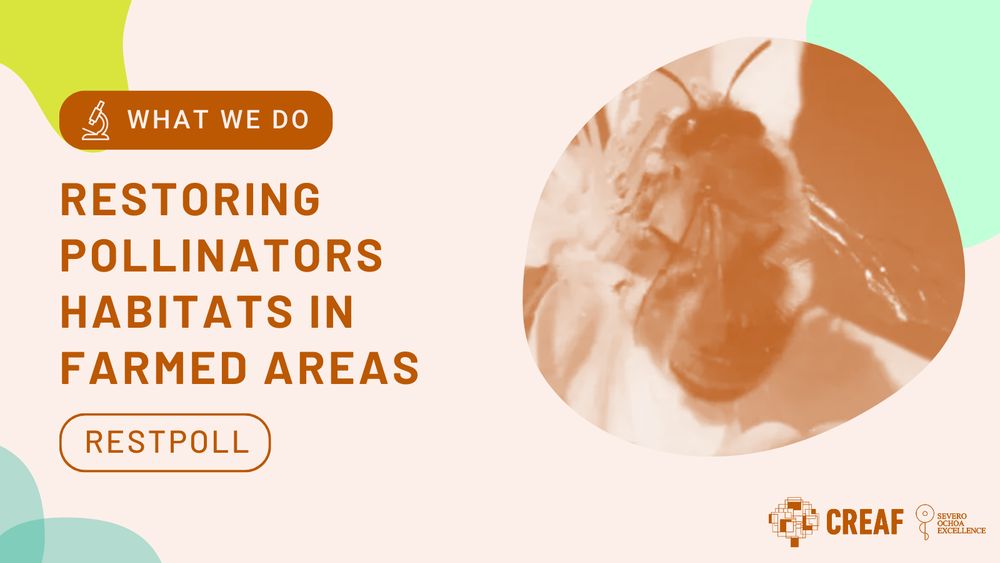 What we do. RESTPOLL project: Restoring Pollinator Habitats in Farmed Areas