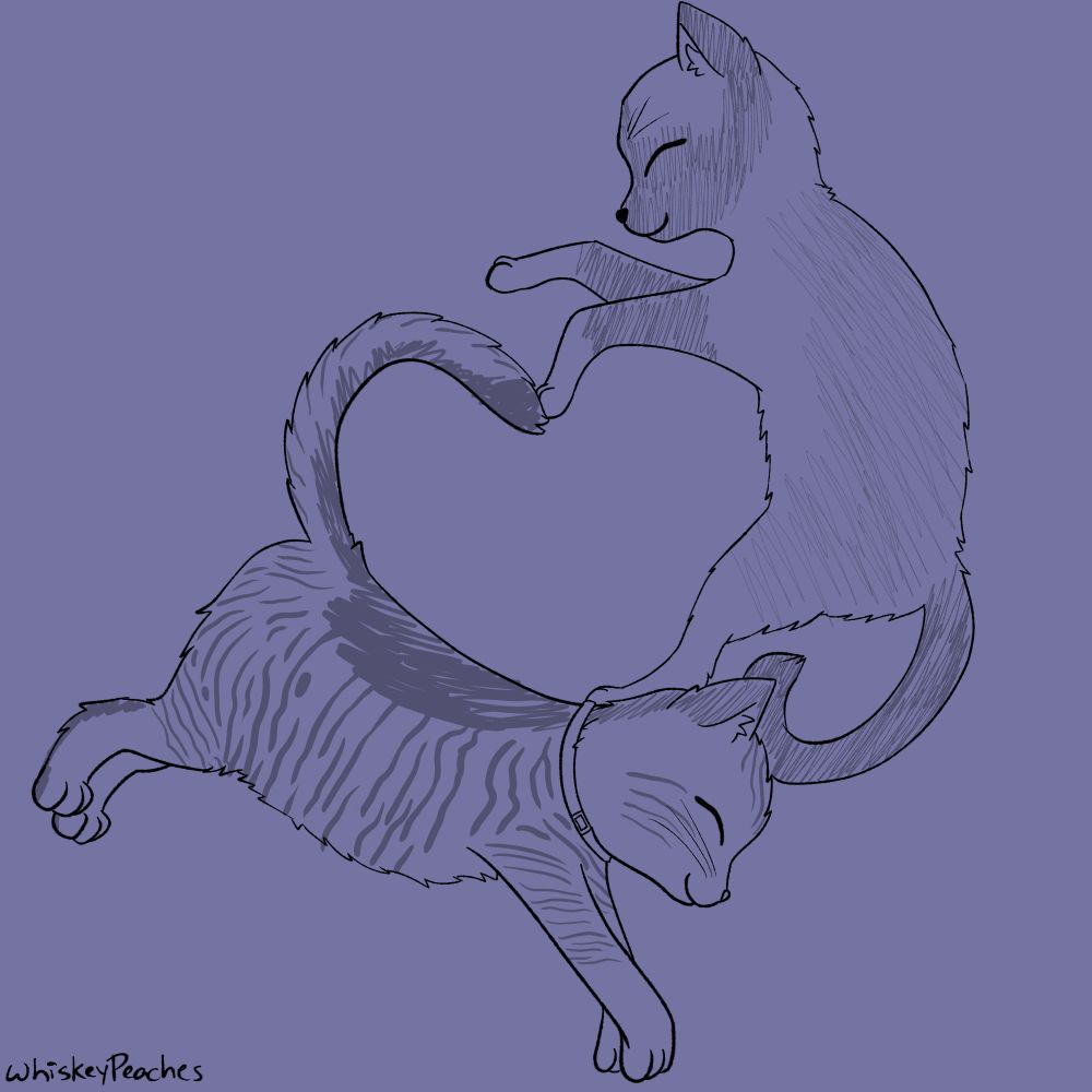 A simple scribbly illustration of two cats laying so their bodies are forming a heart shape! (The kitties names are Ash and Oliver!)
